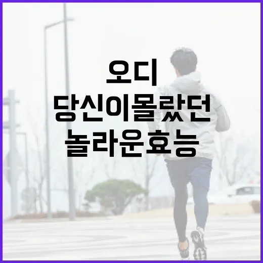 오디의 놀라운 효능, 당신이 몰랐던 사실들 - 요약