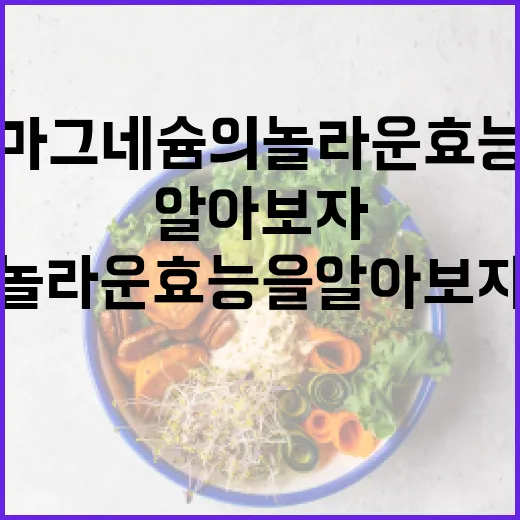 마그네슘의 놀라운 효능을 알아보자 - 요약