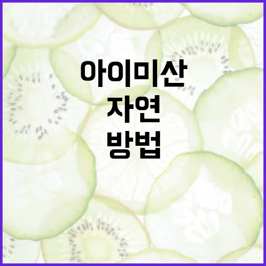 아이미산: 자연 속에서 힐링하는 방법 - 요약