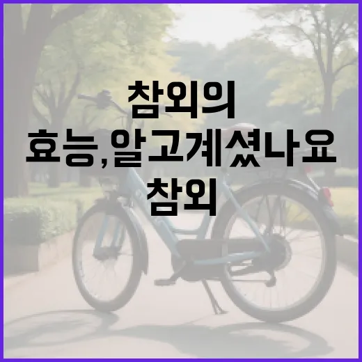 참외의 놀라운 효능, 알고 계셨나요? - 요약