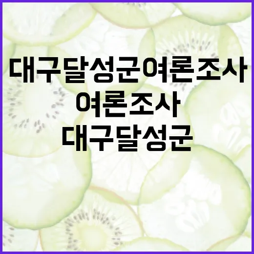 대구 달성군 여론조사, 제대로 이해하기 - 요약