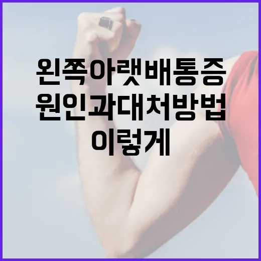 왼쪽 아랫배 통증의 원인과 대처 방법, 이렇게 해보세요! - 요약