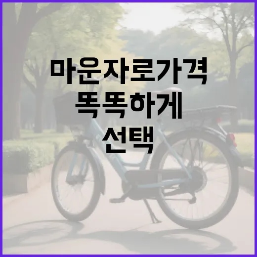 마운자로 가격 알아보고 똑똑하게 선택하기 - 요약