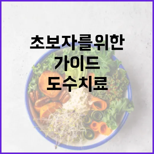 도수치료로 건강해지는 방법: 초보자를 위한 가이드 - 요약