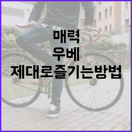 우베의 매력을 제대로 즐기는 방법 - 요약