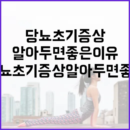 당뇨 초기증상 알아두면 좋은 이유 - 요약