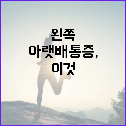 왼쪽 아랫배 통증, 이것이 궁금하다면! - 요약