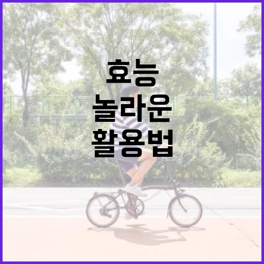 마그네슘의 놀라운 효능과 활용법 - 요약