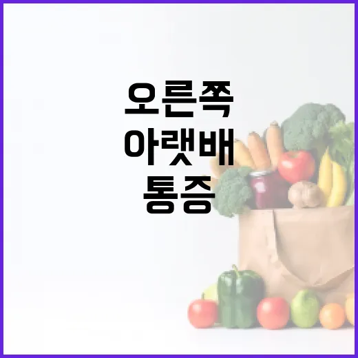 오른쪽 아랫배 통증, 왜 생기고 어떻게 해결할까? - 요약