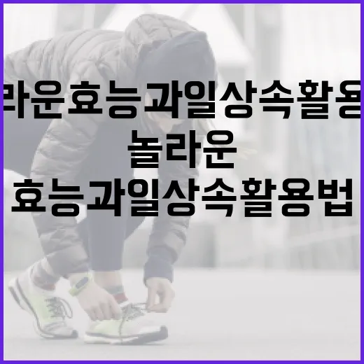 마그네슘의 놀라운 효능과 일상 속 활용법 - 요약