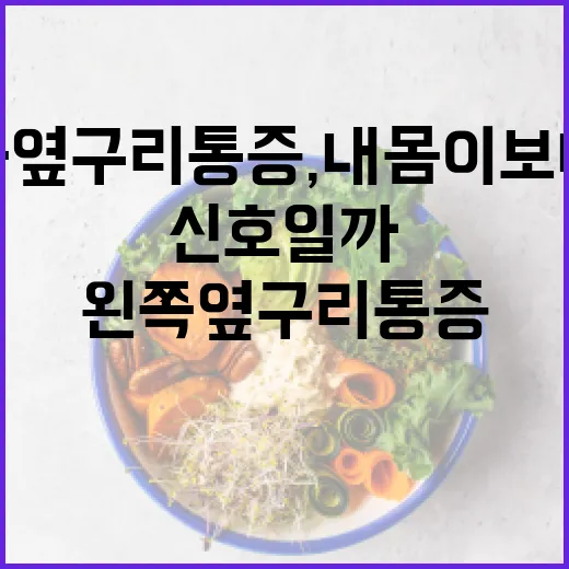 왼쪽 옆구리 통증, 내 몸이 보내는 신호일까요? - 요약