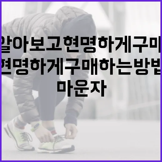 마운자 가격 알아보고 현명하게 구매하는 방법 - 요약