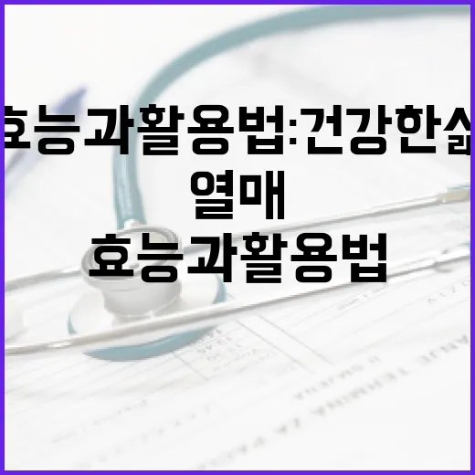 오디의 효능과 활용법: 건강한 삶을 위한 작은 열매 - 요약