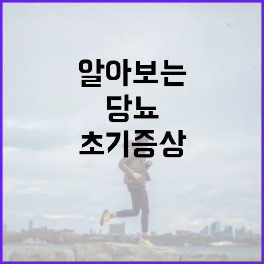 당뇨 초기증상 알아보는 방법 - 요약