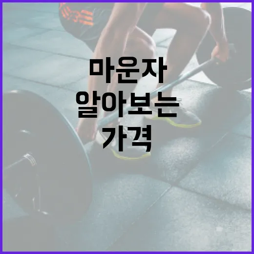 마운자 가격을 알뜰하게 알아보는 방법 - 요약
