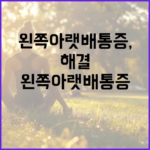 왼쪽 아랫배 통증, 어떻게 해결할 수 있을까요? - 요약