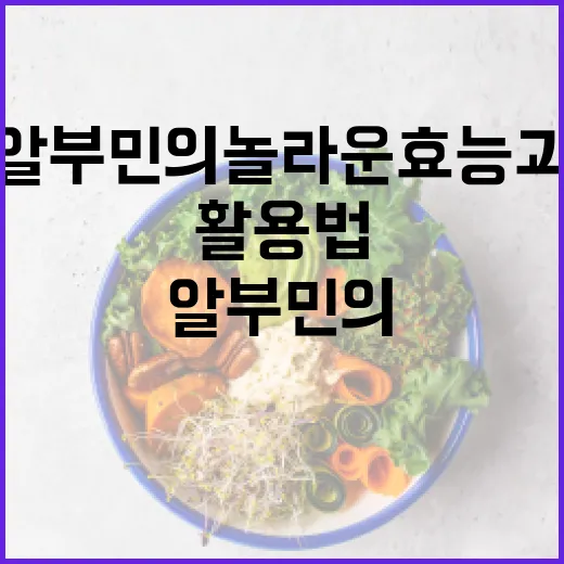 알부민의 놀라운 효능과 일상 활용법 - 요약