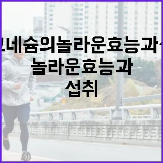 마그네슘의 놀라운 효능과 섭취 방법 - 요약