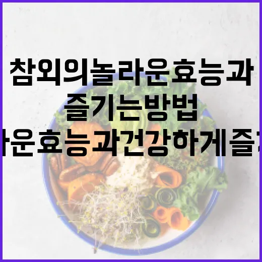 참외의 놀라운 효능과 건강하게 즐기는 방법 - 요약