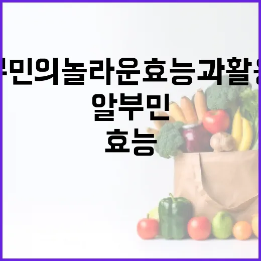 알부민의 놀라운 효능과 활용법 - 요약