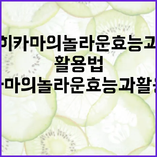 히카마의 놀라운 효능과 활용법 - 요약