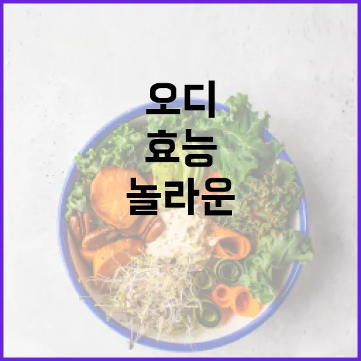 오디의 놀라운 효능을 알아보자 - 요약