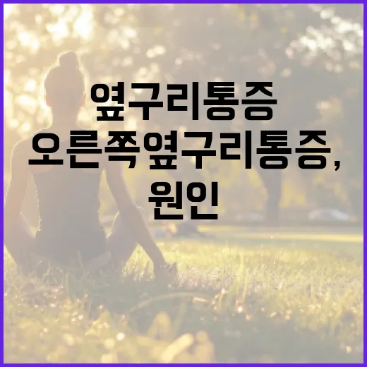 오른쪽 옆구리 통증, 원인과 해결책 알아보기 - 요약
