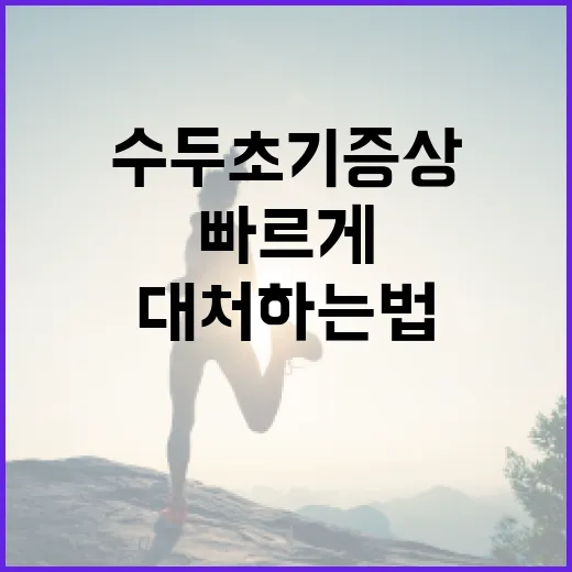 수두 초기증상 알아보고 빠르게 대처하는 법 - 요약