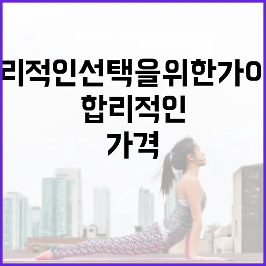 마운자 가격을 이해하는 방법: 합리적인 선택을 위한 가이드 - 요약