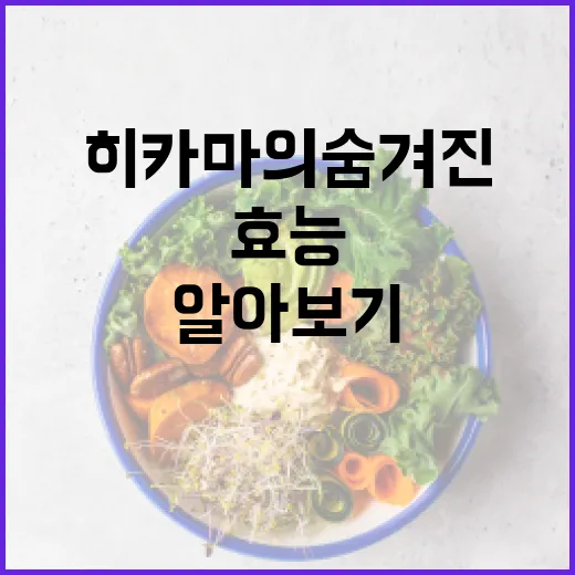 히카마의 숨겨진 효능과 활용법 알아보기 - 요약