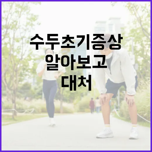 수두 초기증상 알아보고 빠르게 대처하는 방법 - 요약