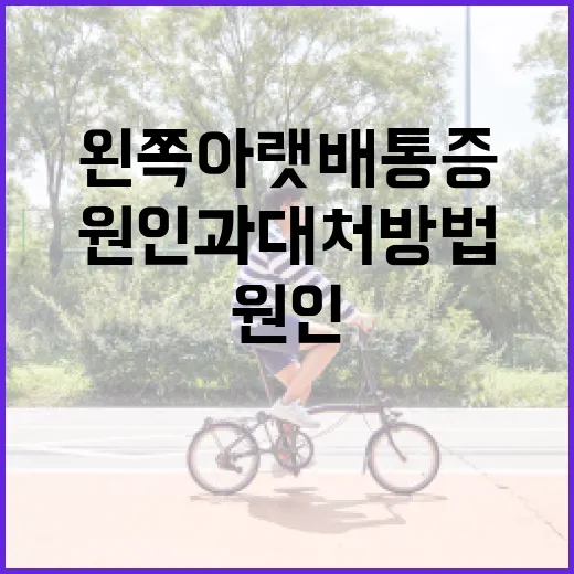 왼쪽 아랫배 통증의 원인과 대처 방법 - 요약