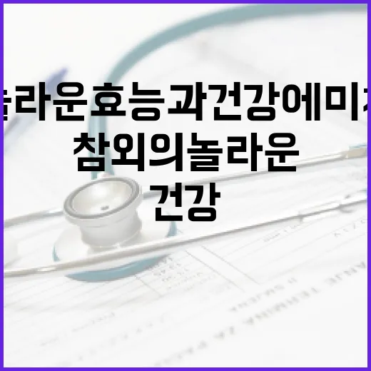참외의 놀라운 효능과 건강에 미치는 영향 - 요약