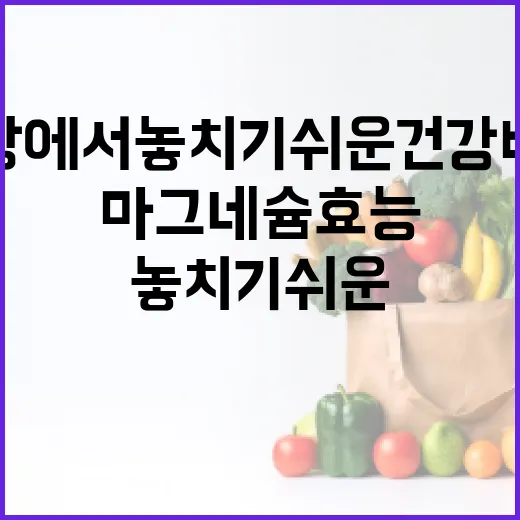 마그네슘 효능: 일상에서 놓치기 쉬운 건강 비법 - 요약
