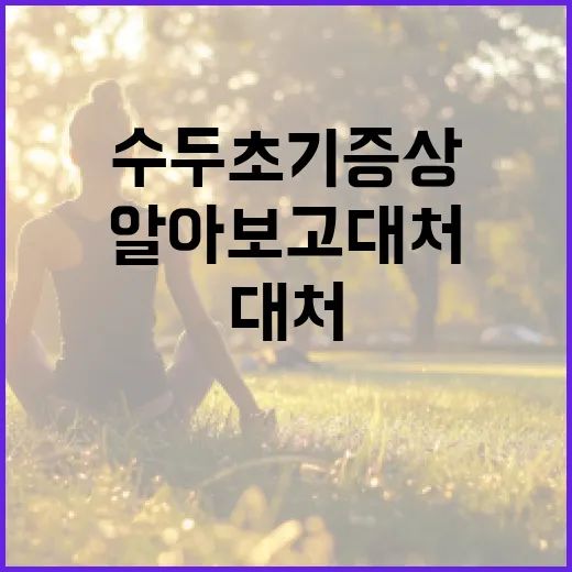 수두 초기증상 알아보고 대처하는 방법 - 요약