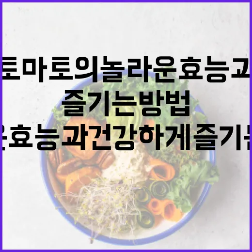 토마토의 놀라운 효능과 건강하게 즐기는 방법 - 요약