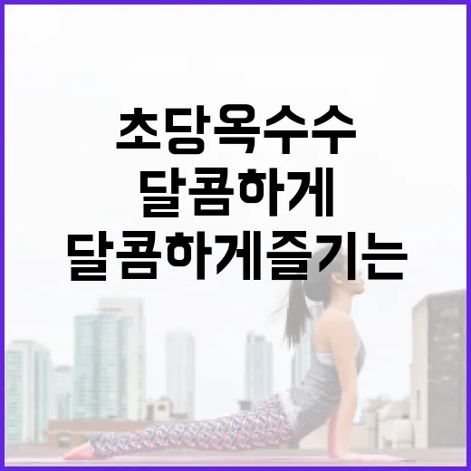 초당옥수수, 이렇게 삶아 더 달콤하게 즐기는 방법 - 요약