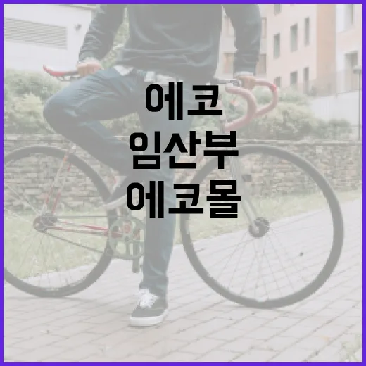 임산부를 위한 에코몰 쇼핑 가이드: 친환경 제품 선택하기 - 요약