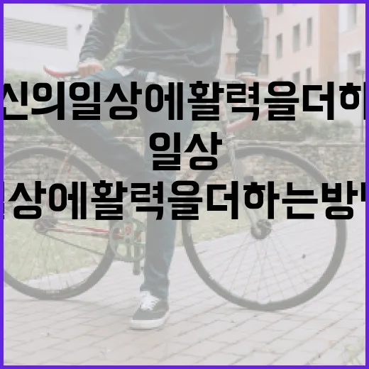 레아레브로 당신의 일상에 활력을 더하는 방법 - 요약