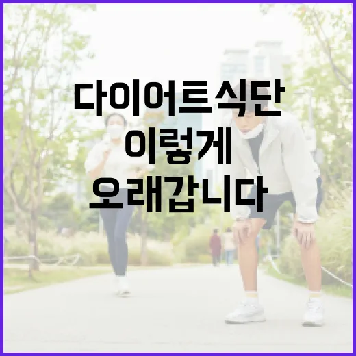 다이어트식단 시작하려면 이렇게 잡아야 오래 갑니다 - 요약