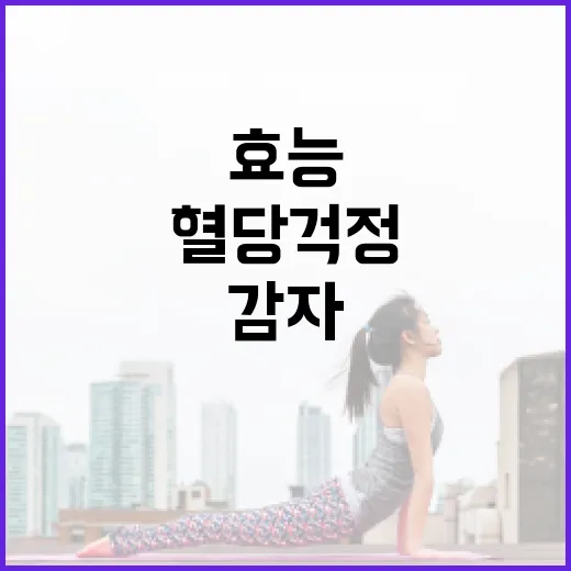 감자 효능 제대로 챙겨 먹는 방법, 혈당 걱정까지 함께 보는 법 - 요약