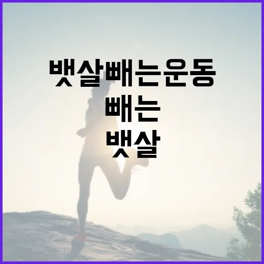 뱃살빼는운동 시작하려면 이렇게 잡으면 덜 지칩니다 - 요약