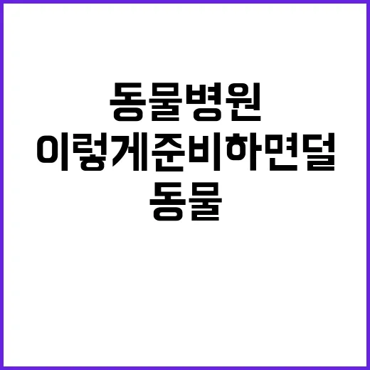 동물병원 처음 가려면 이렇게 준비하면 덜 당황합니다 - 요약