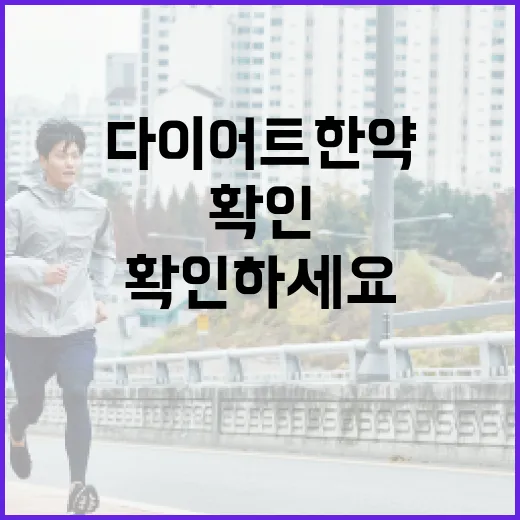 다이어트한약 시작하려면 이렇게 확인하세요 - 요약
