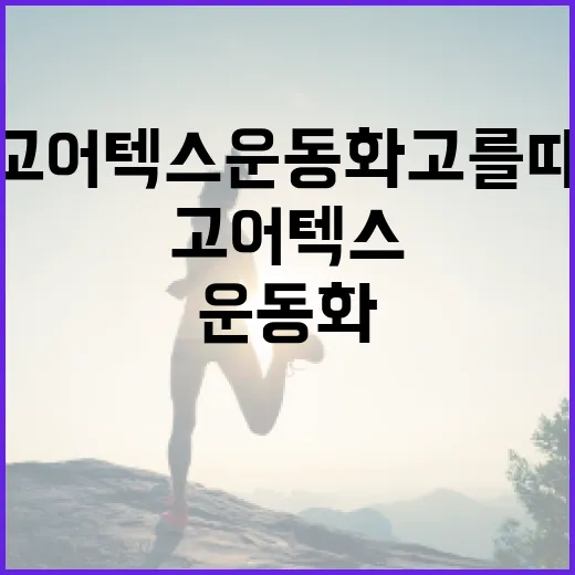 고어텍스운동화 고를 때 발 건강까지 챙기는 방법 - 요약