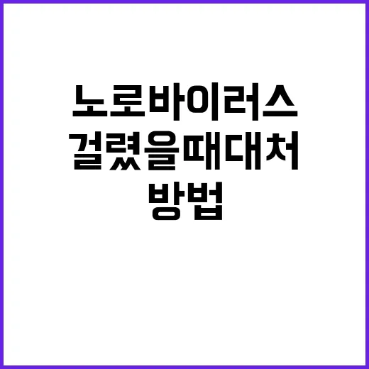노로바이러스 걸렸을 때 대처하는 방법, 병원에 가야 하는 신호까지 - 요약