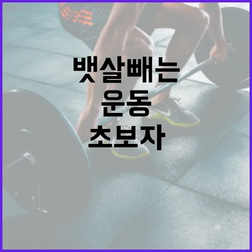 뱃살빼는운동 초보자가 시작하려면 이렇게 잡으면 됩니다 - 요약