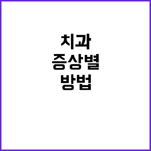 치과 가기 전 증상별로 준비하는 방법 - 요약