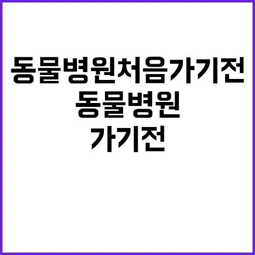 동물병원 처음 가기 전에 준비하는 방법 - 요약