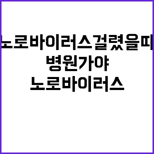 노로바이러스 걸렸을 때 집에서 버티는 방법과 병원 가야 할 때 - 요약